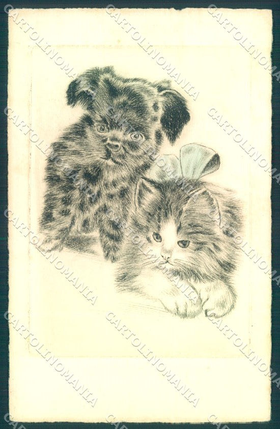 Animals Cat Puppy Dog cartolina postcard TW1986 – fronte