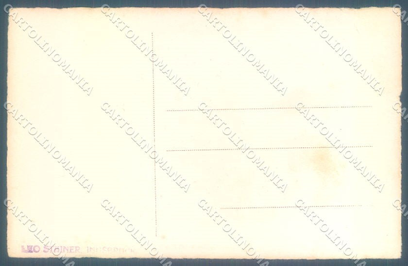 Animals Cat Puppy Dog cartolina postcard TW1986 – retro
