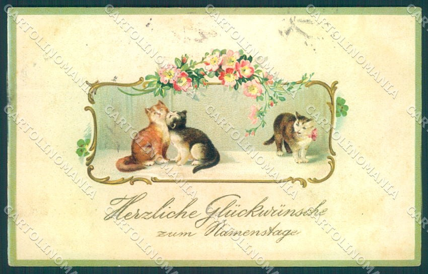 Greetings Augurali Namenstage Cat Flower serie 999 Relief postcard TW2000 – fronte