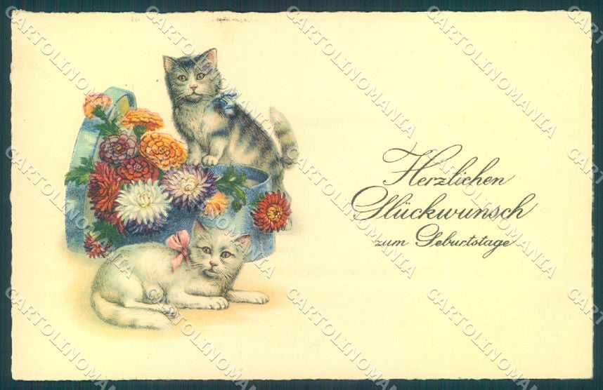 Greetings Geburtstage Cat Flower serie Erika 1061 SOFT CREASE postcard TW2005 – fronte
