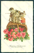Greetings Augurali Humanized Cat Music Band Flower Pittius postcard TW2014 – fronte