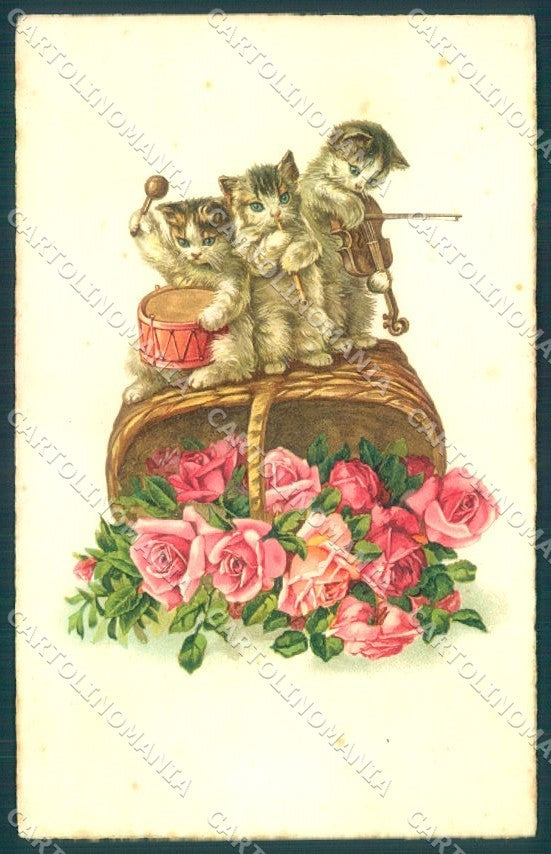 Greetings Augurali Humanized Cat Music Band Flower Pittius 1189 postcard TW2015 – fronte