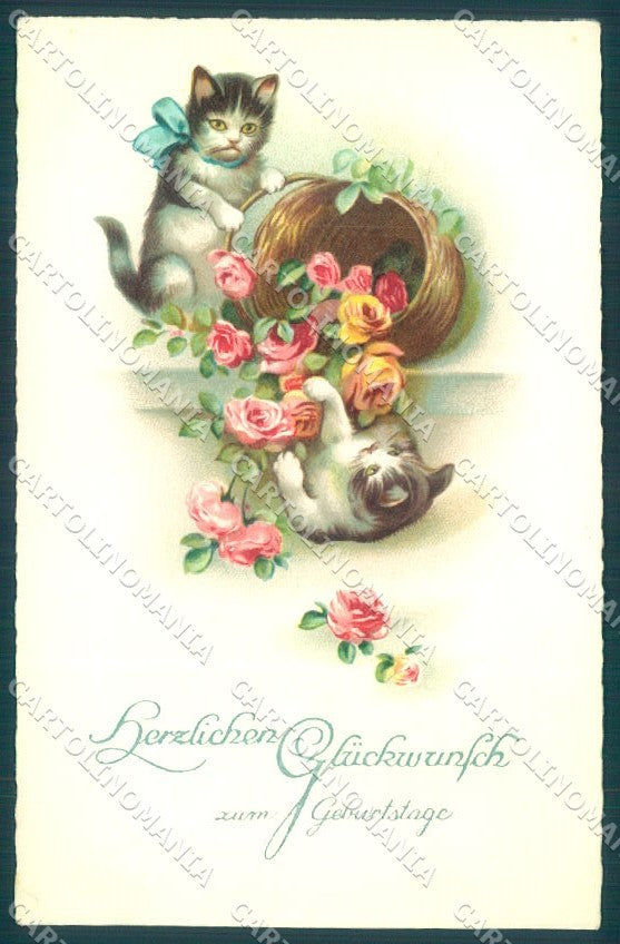 Greetings Augurali Geburtstage Cat Flower serie 16773 cartolina postcard TW2016 – fronte