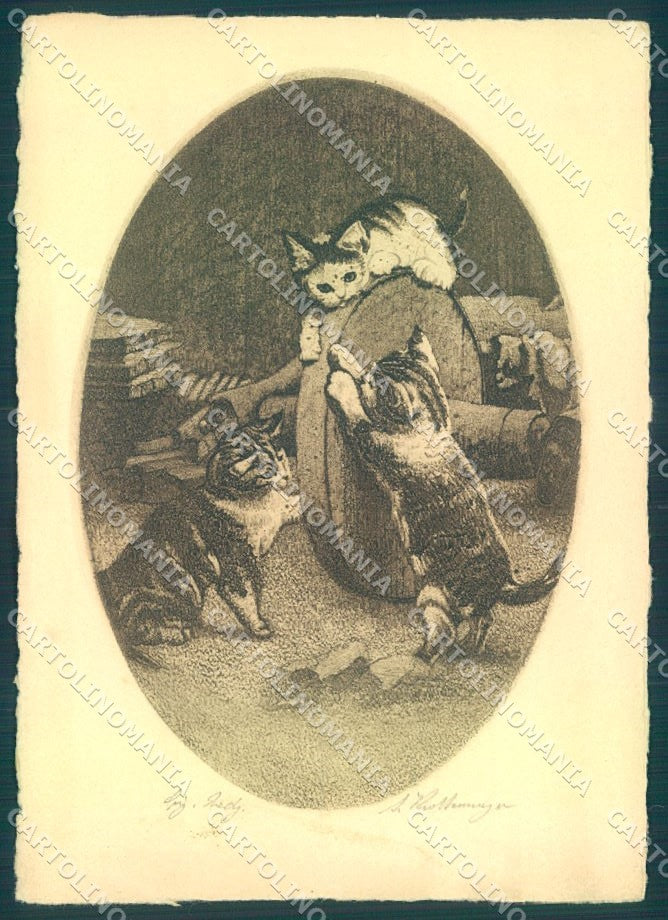Artist Signed A. Krettenmayer Cat FG cartolina postcard TW2032 – fronte