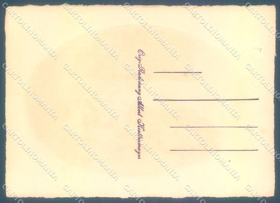 Artist Signed A. Krettenmayer Cat FG cartolina postcard TW2032 – retro