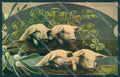 Greetings New Year Pig Four Leaf Clover serie 129-II WRINKLES postcard TW2039 – fronte