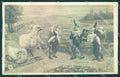Greetings Easter Egg Gnome Chick NPG 315-6 RPPC postcard TW2041 – fronte