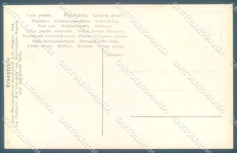 Greetings New Year Lady Horseshoe Pig NPG 448-2 Oranotypie RPPC pc TW2056 – retro
