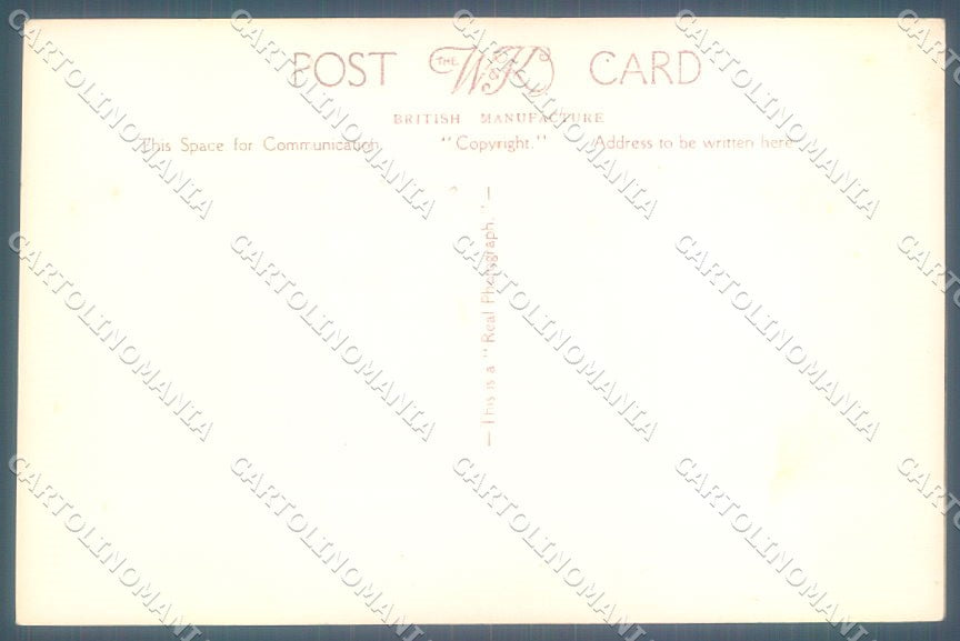 Animals Cat Tommy W&K 1203 RPPC cartolina postcard TW2071 – retro