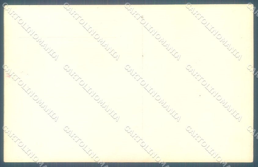 Animals Cat Lady RPPC cartolina postcard TW2079 – retro
