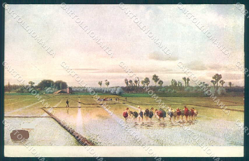 Artist Signed L. Stefani Lady Rice Field Vercelli serie 0508 postcard TW2307 – fronte