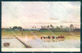 Artist Signed L. Stefani Lady Rice Field Vercelli serie 0508 postcard TW2307 – fronte