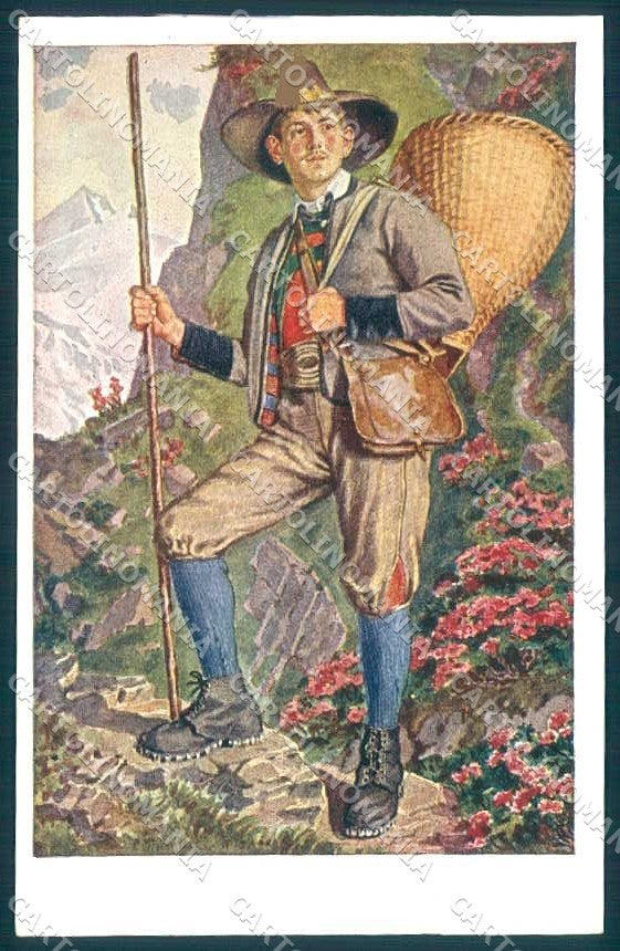 Artist Signed Tiefenthaler Tirol Type Zillertal serie II-19 postcard TW2311 – fronte