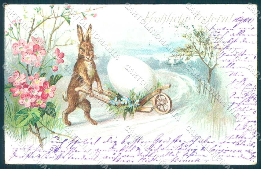 Greetings Easter Hare Egg Flower cartolina postcard TW2370 – fronte