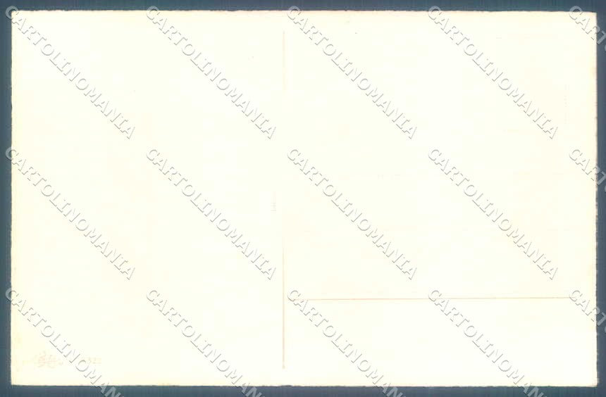 Greetings New Year Gnome Four Leaf Clover Horseshoe Erika 5322 postcard TW2371 – retro