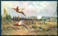 Artist Signed Muller Man Hunting Pheasant serie 4300 cartolina Postcard TW2447 – fronte