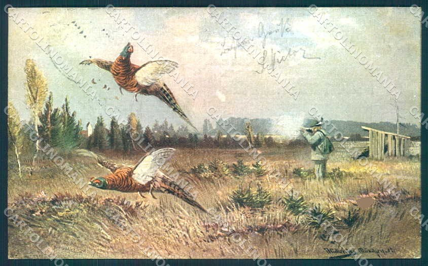 Artist Signed Muller Man Hunting Pheasant serie 844 cartolina Postcard TW2448 – fronte