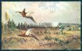 Artist Signed Muller Man Hunting Pheasant serie 844 cartolina Postcard TW2448 – fronte