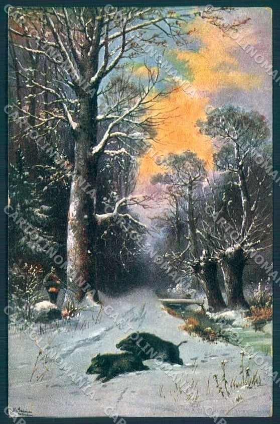 Artist Signed Alfred Schonian Man Hunting Boar serie 1123-5 Postcard TW2449 – fronte