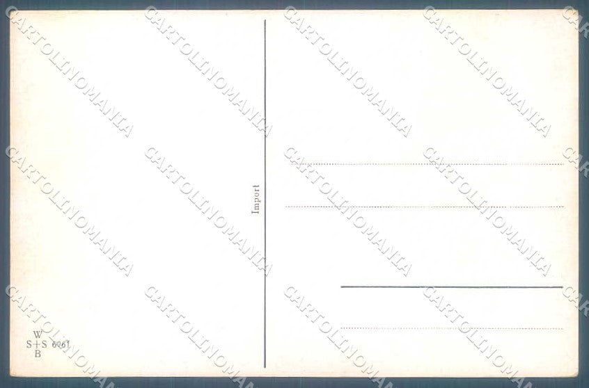 Artist Signed Muller Hunting Bison WSSB 6961 cartolina Postcard TW2450 – retro