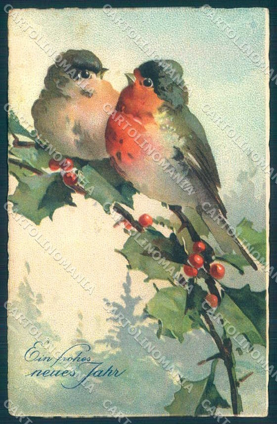 Artist Signed Klein New Year Bird serie HWB 2218 CORNER CREASE Postcard TW2454 – fronte
