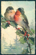 Artist Signed Klein New Year Bird serie HWB 2218 CORNER CREASE Postcard TW2454 – fronte