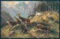 Artist Signed Muller Animal Deer Roe Hunting serie 496 cartolina Postcard TW2456 – fronte