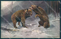 Artist Signed Muller Animal Bear Hunting WSSB 6961 cartolina Postcard TW2458 – fronte