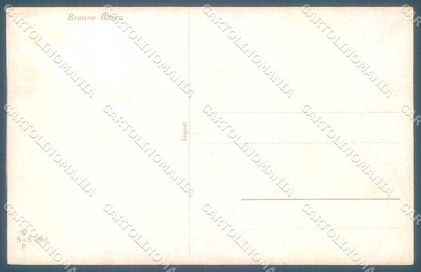 Artist Signed Muller Animal Bear Hunting WSSB 6961 cartolina Postcard TW2458 – retro