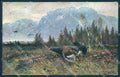 Artist Signed Muller Animal Moorhen Hunting serie 844 cartolina Postcard TW2459 – fronte
