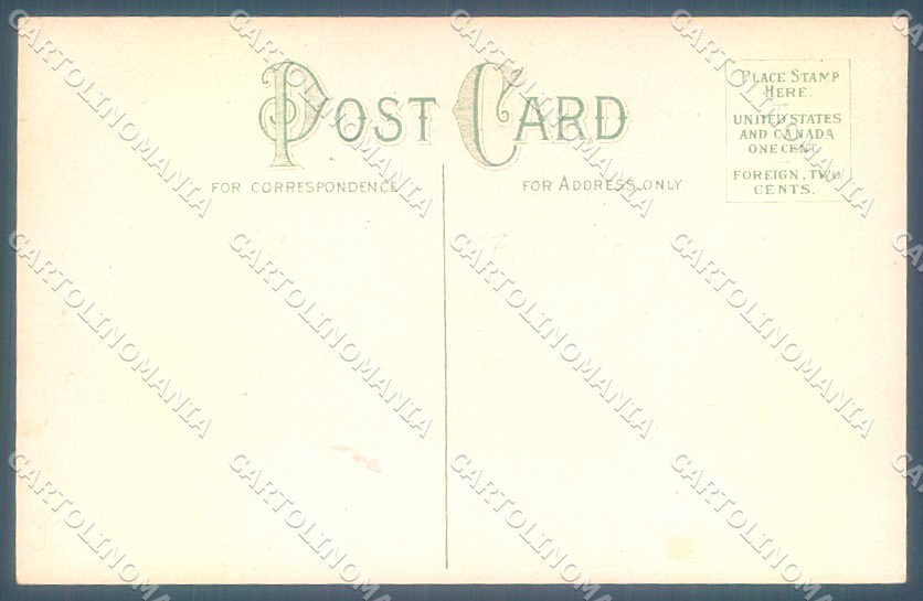 Greetings New Year Children Flower Relief serie 916 cartolina Postcard TW2468 – retro