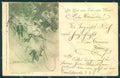Artist Signed Lady Bicycle People Ackermann 9 cartolina postcard TW2488 – fronte