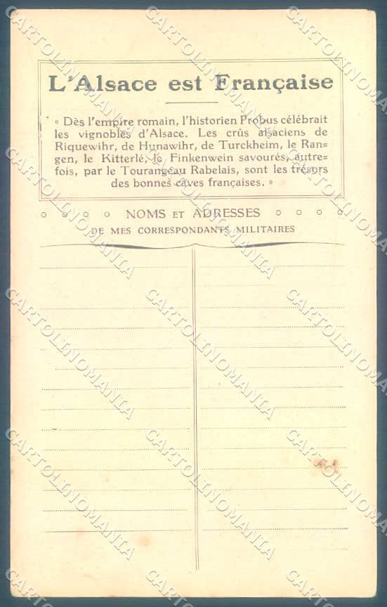 Artist Signed Pierre Vincend Lady Grape Harvest Alsace cartolina postcard TW2512 – retro