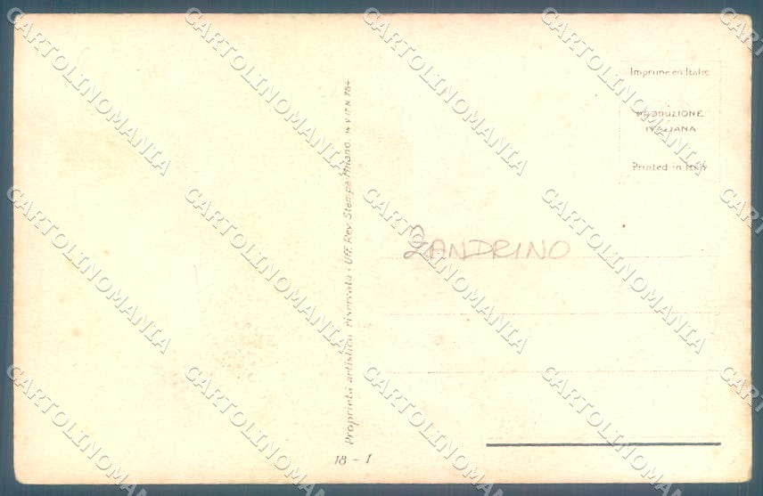Artist Signed Zandrino Risque Nude Lady Black Panther serie 18-1 postcard TW2515 – retro