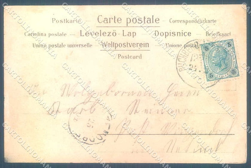 Artist Signed Lady Art Nouveau Fruit BACK ABRADED cartolina postcard TW2597 – retro