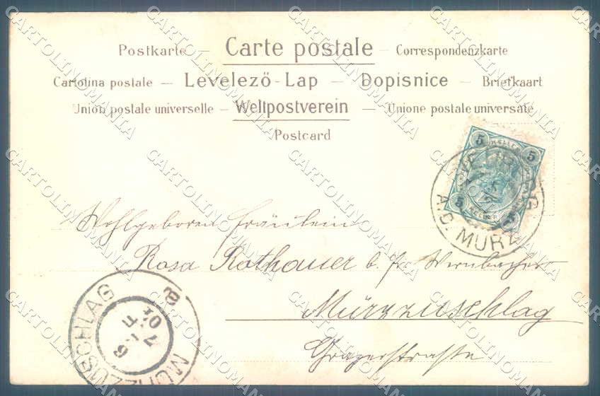 Artist Signed Lady Art Nouveau Fruit cartolina postcard TW2598 – retro