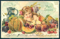 Artist Signed Lady Art Nouveau Fruit UNGLUED cartolina postcard TW2599 – fronte