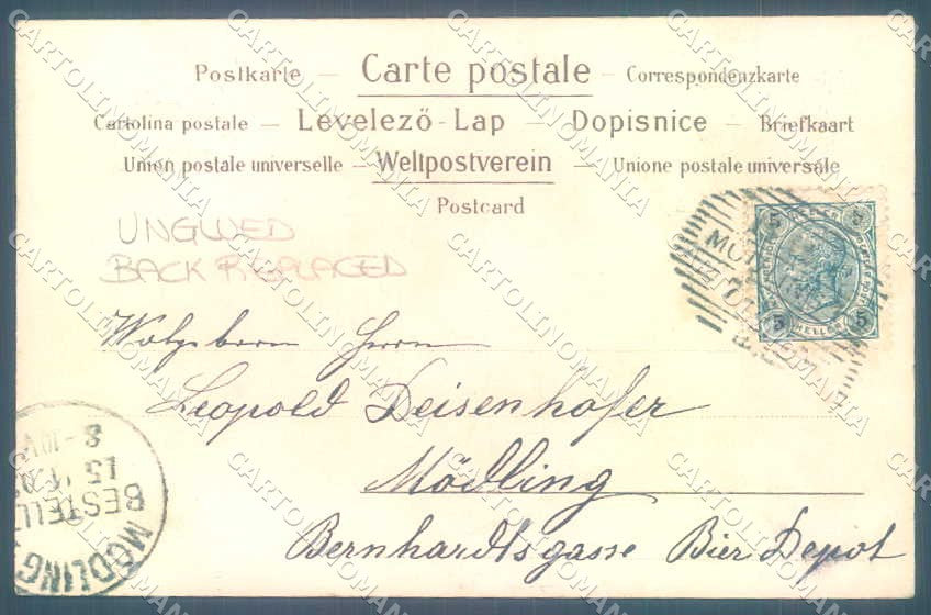 Artist Signed Lady Art Nouveau Fruit UNGLUED cartolina postcard TW2599 – retro