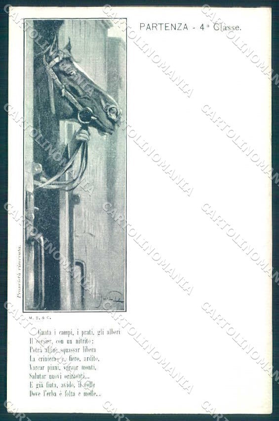 Artist Signed A. Villa Animal Horse cartolina postcard TW2602 – fronte