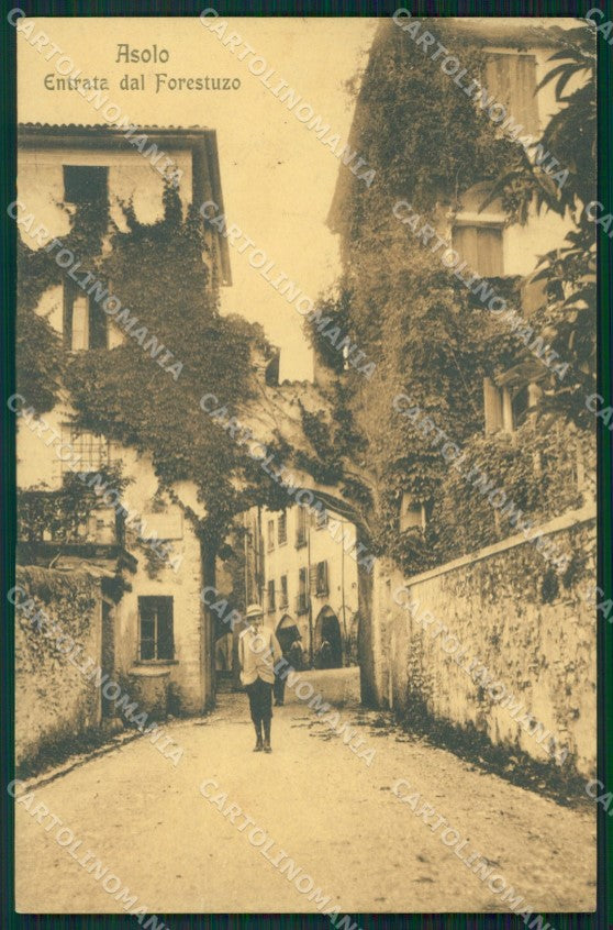 Treviso Asolo Forestuzo PIEGHINA cartolina VK0036 – fronte