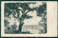 Roma Lago Albano Alterocca 1264 STRAPPINO PIEGHINA cartolina VK0072 – fronte