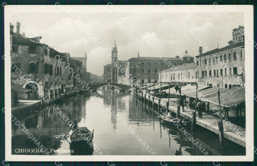 Venezia Chioggia Pescheria Foto cartolina VK0212 – fronte
