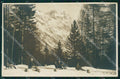 Belluno Cortina d'Ampezzo Slitte Foto cartolina VK0218 – fronte