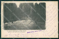 Aosta Courmayeur Giardino Botanico Genta PIEGHINA cartolina VK0267 – fronte