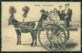 Catania Città Costumi Carro Siciliano PIEGA RIFILATA cartolina VK0376 – fronte