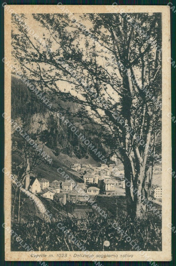 Belluno Caprile cartolina VK0460 – fronte