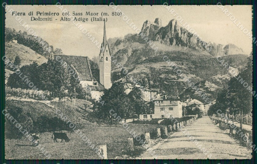 Trento Fiera di Primiero Sass Maor cartolina VK0582 – fronte