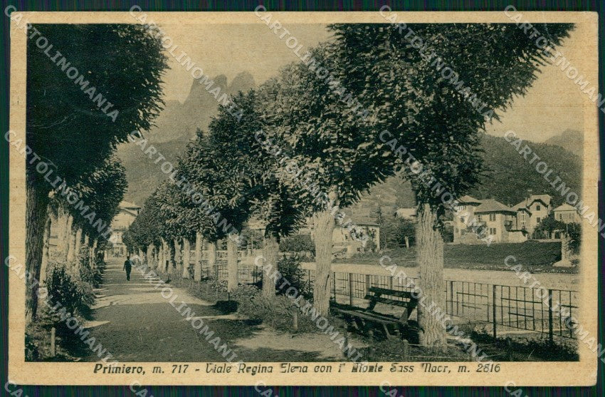 Trento Primiero PIEGHINA cartolina VK0586 – fronte