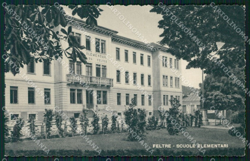 Belluno Feltre Scuole cartolina VK0609 – fronte