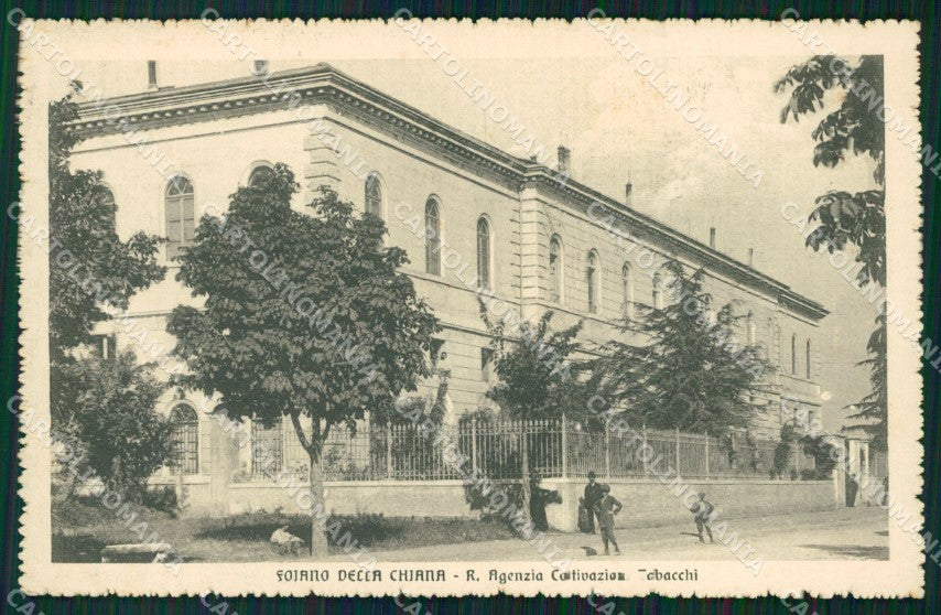 Arezzo Foiano della Chiana Agenzia Coltivazione Tabacchi cartolina VK0656 – fronte